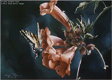 ARLETA PECH 6X8 Secondary Market Art: "TRUMPET SONG"