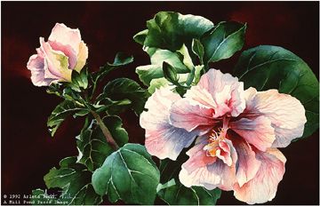 Arleta Pech Limited Edition Print:"Hibiscus Show-Off"