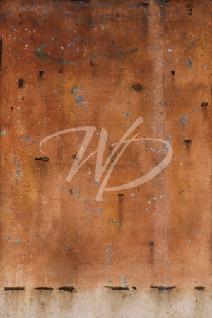 Atom Johnson Limited Edition Giclee: "Freckled Phenotrope "