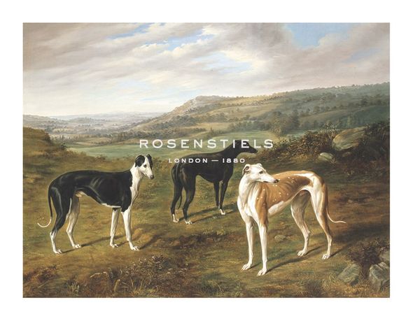 B Cam Norton Hand Numbered Limited Edition Print on Paper :"Greyhounds"