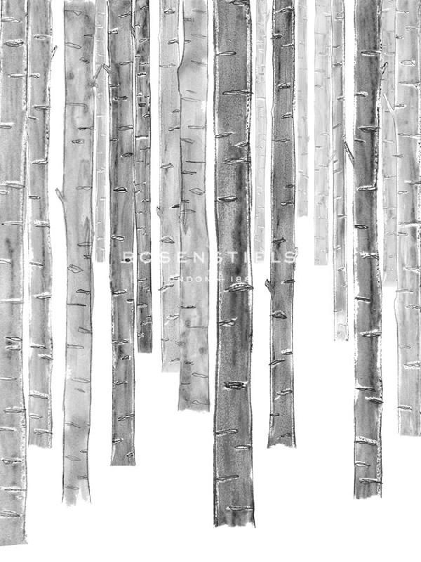Belle Poesia 30 x 40 in. Open Giclee Canvas:"Forest Quietude - Close"