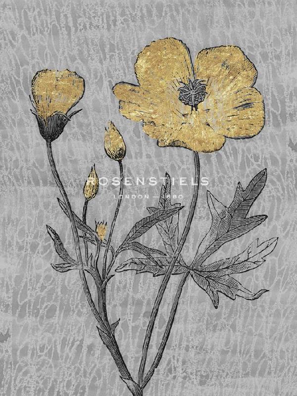 Belle Poesia 30 x 40 in. Open Giclee Canvas:"Luxe Garden - Radiance"