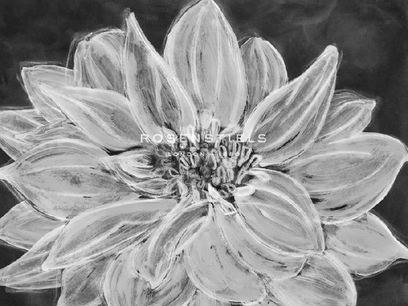 Belle Poesia 40 x 30 in. Open Giclee Canvas:"Chalk Cluster"