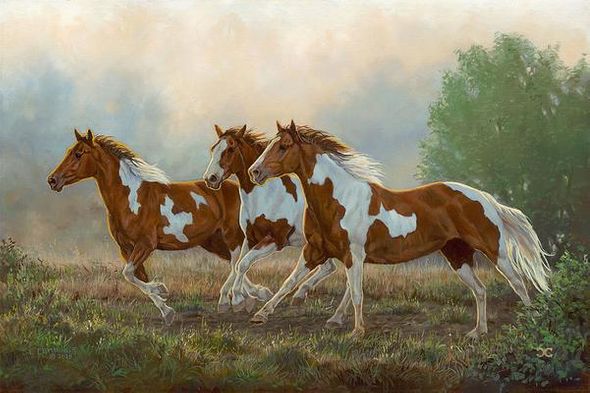 Chris Cummings Master Artisan Hand Embellished Canvas Giclee:"Misty Morning Pintos"