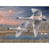 Bob Metropulos Limited Edition Canvas Giclee: "Evening Flight—Trumpeter Swans"