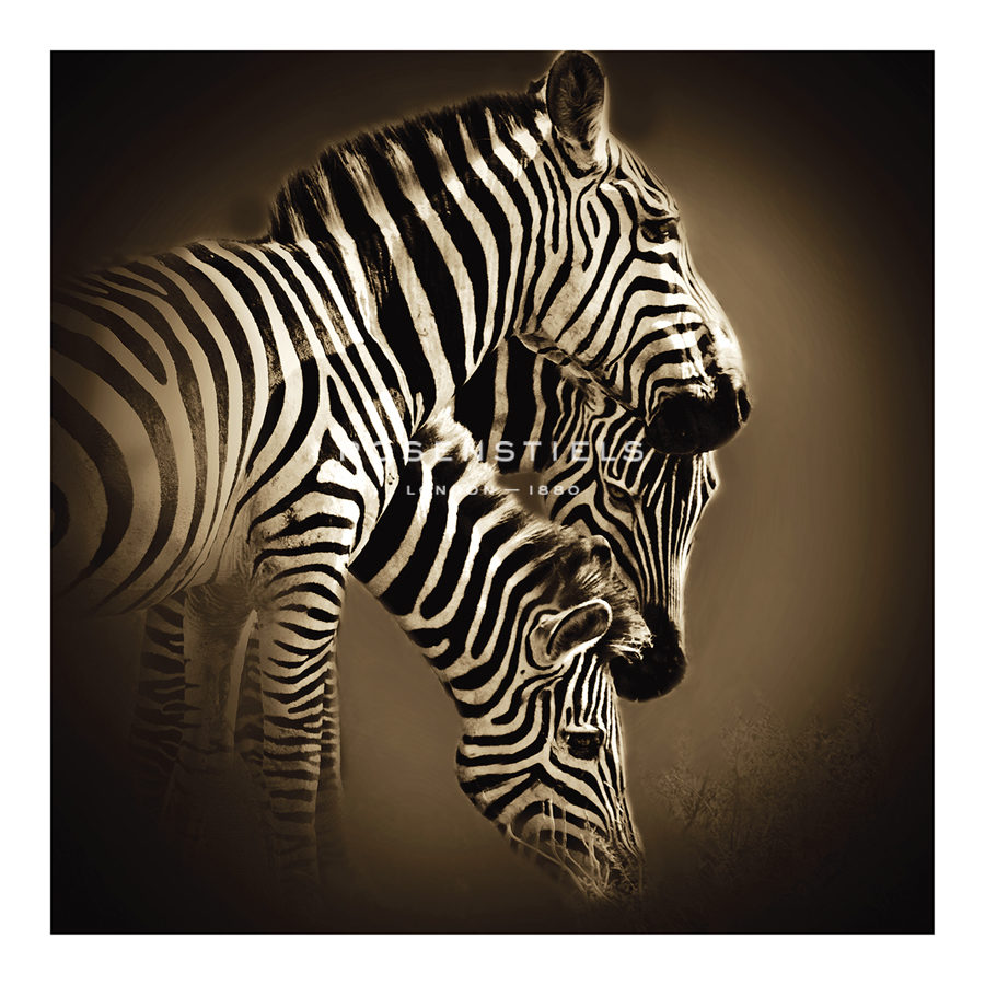 Bobbie Goodrich Hand Numbered Limited Edition Print on Paper :"Mirage"