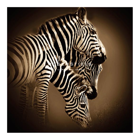 Bobbie Goodrich Hand Numbered Limited Edition Print on Paper :"Mirage"