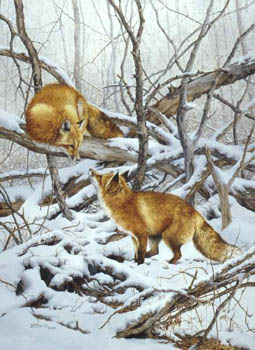 BONNIE MARRIS 18X24 Secondary Market Art: "COURTSHIP"