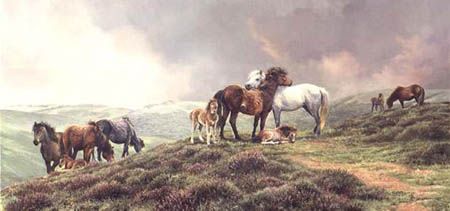 BONNIE MARRIS 30X16 Secondary Market Art: "DARTMOOR PONIES"