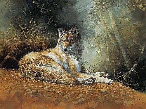 Bonnie Marris Hand-Signed Artist Proof Limited Edition Print:"Kenai Dusk"