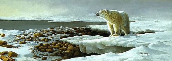 Bonnie Marris Hand-Signed and Numbered Limited Edition Print:"Waiting for The Freeze"