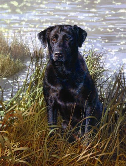 Bonnie Marris Hand Signed Limited Edition Print:"The All American"