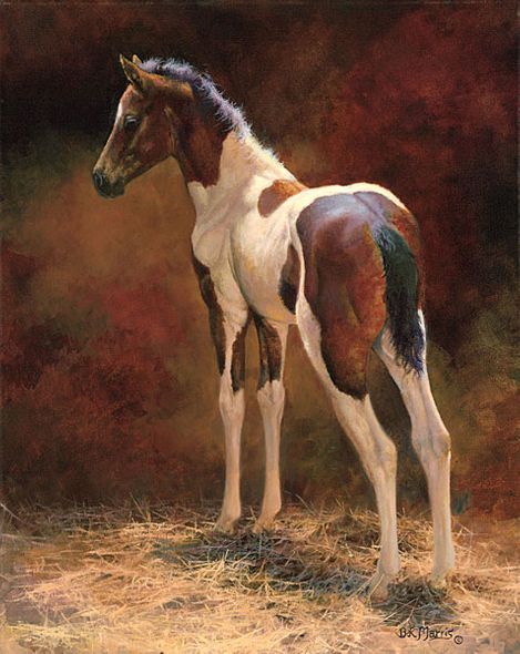 Bonnie Marris Handsigned and Numbered Limited Edition Canvas Giclee: "Pawnee"