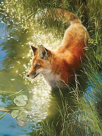Bonnie Marris Handsigned and Numbered Limited Edition Canvas Giclee:"Out Foxed"