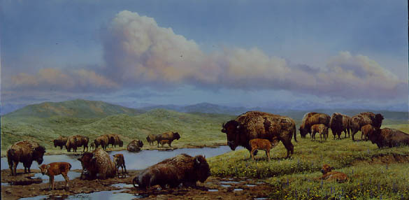 Bonnie Marris Handsigned & Numbered Limited Edition Giclee Canvas:"Gifts of Spring"