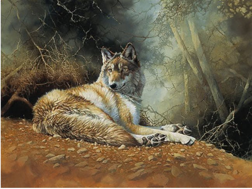 Bonnie Marris Limited Edition Print:"Kenai Dusk"