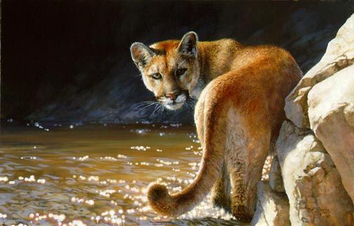 Bonnie Marris Limited Edition Print: "Showdown"