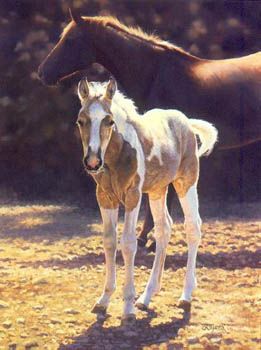 BONNIE MARRIS  Secondary Market Art: "SUN SPLASHED"