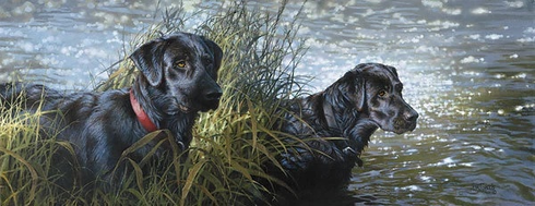 Bonnie Marris Signed and Numbered Limited Edition Giclee: "Black Magic - Canvas" Bonnie Marris Signed and Numbered Limited Edition Giclee: "Black Magic - Canvas"