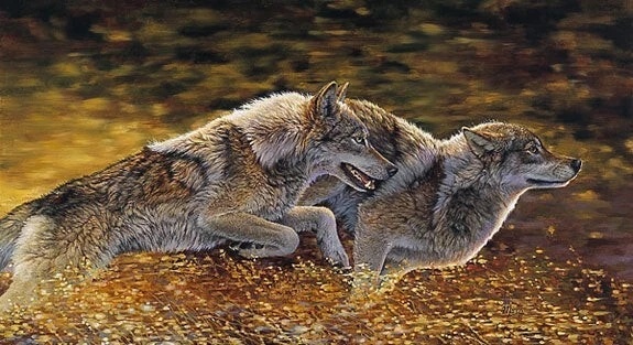 Bonnie Marris Signed and Numbered Limited Edition Print: "Catch the Wind"