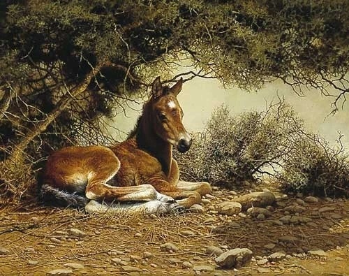 Bonnie Marris Signed and Numbered Limited Edition Print: "Mom's Shadow"