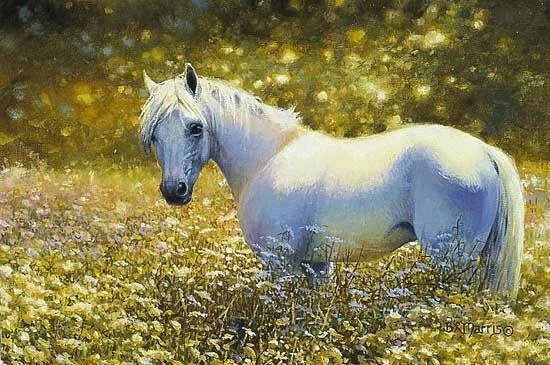 Bonnie Marris Signed and Numbered Limited Edition Print: "Sun bath"