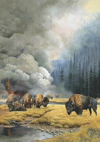 Bonnie Marris Signed Limited Edition Print  : ""