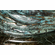 Bradley Lorang Handcrafted Solid Bronze Sculpture:"Devotion of the Deep"
