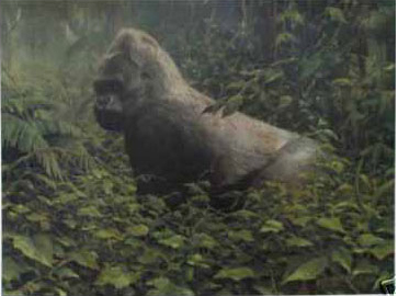 BRADLEY PARRISH  Secondary Market Art: "RAINFOREST PRINCE"