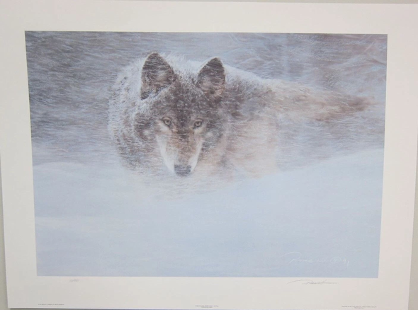 Bradley Parrish Signed Limited Edition Signed Lithograph: "Storm Runner"