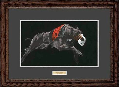 Brett Longley Framed Handsigned & Numbered Limited Edition Print:"Midnight Run "