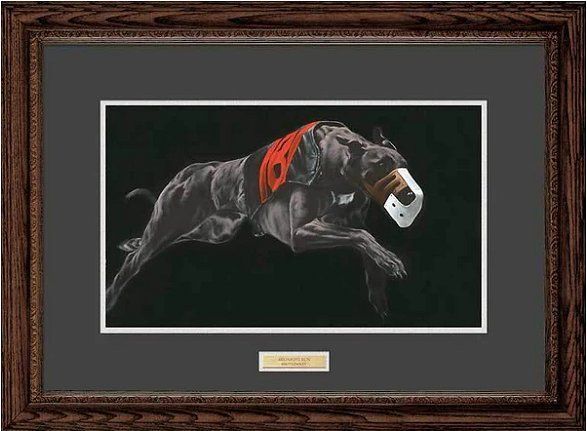 Brett Longley Framed Handsigned & Numbered Limited Edition Print:"Midnight Run "