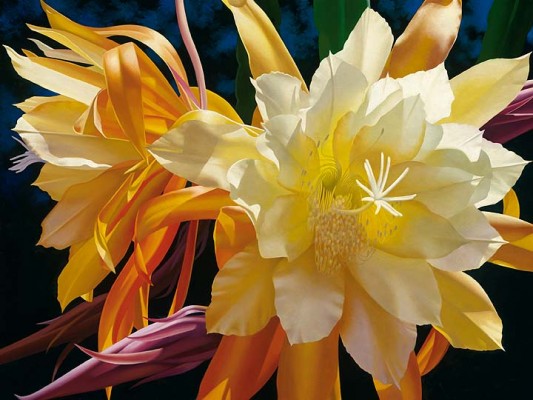Brian Davis Hand Signed and Numbered Artist Embellished Oversize Limited Edition Giclee on Canvas:"Splendid Elegance"