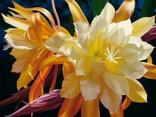 Brian Davis Hand Signed and Numbered Artist Embellished Oversize Limited Edition Giclee on Canvas:"Splendid Elegance"