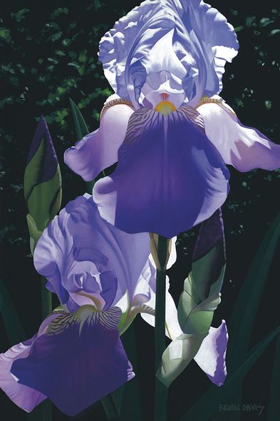 Brian Davis Hand Signed and Numbered Limited Edition Giclee on Canvas:"Two Blue Irises"