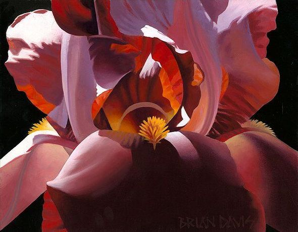Brian Davis Hand Signed Limited Edition Canvas Giclee:"Crimson Magic"