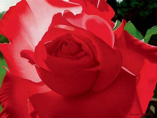 Brian Davis Handsigned and Numbered Limited Edition Giclee on Canvas:"Brilliant Red Solo Rose"