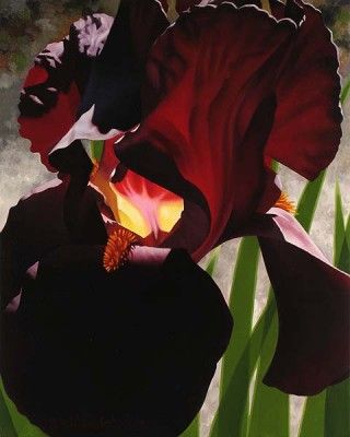 Brian Davis Handsigned and Numbered Limited Edition Giclee on Canvas: "Deep Red Iris Aflame "