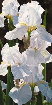 Brian Davis Handsigned and Numbered Limited Edition Giclee on Canvas: "Enchanting Irises"