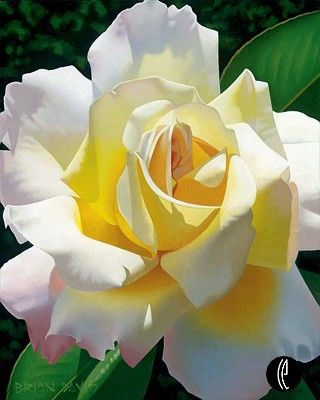 Brian Davis Handsigned and Numbered Limited Edition Giclee on Canvas:"Love's Rose"