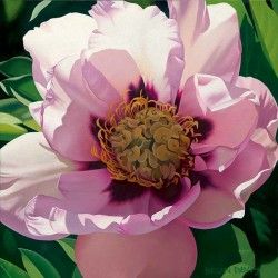 Brian Davis Handsigned and Numbered Limited Edition Giclee on Canvas:"Pink Peony"