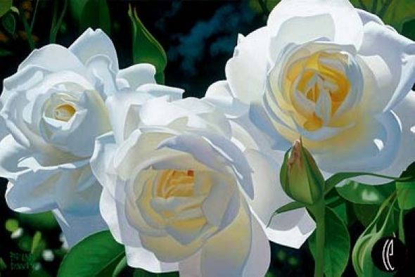 Brian Davis Limited Anniversary Edition Giclee on Canvas :"Sunny Afternoon Roses"
