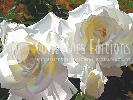 Brian Davis Limited Edition Giclee on Canvas :"White Radiant Roses"