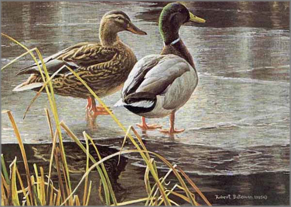 CANADA  Secondary Market Art: "1985 BATEMAN EX 2STMP"