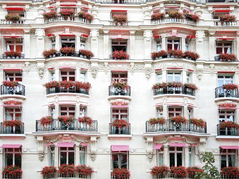 Carina Okula 40 x 30 in. Open Giclee Canvas:"Building In Bloom - Focus"