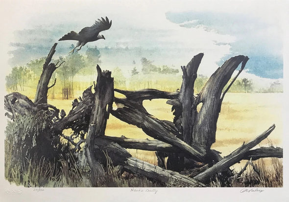 Carl Arlen Artist Hand-signed Limited Edition Lithograph: "HAWK'S COUNTRY"