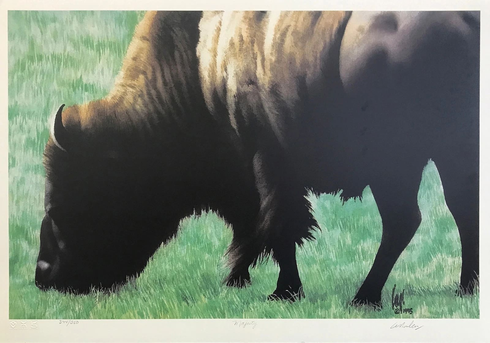 Carl Arlen Artist Hand-signed Limited Edition Lithograph: "MAJESTY" Carl Arlen Artist Hand-signed Limited Edition Lithograph: "MAJESTY"