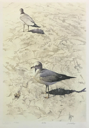 Carl Arlen Artist Hand-signed Limited Edition of 350 Lithograph: "GULLS"