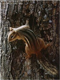CARL BRENDERS 12X9 Secondary Market Art: "NARROW ESCAPE CHIPMUNK"