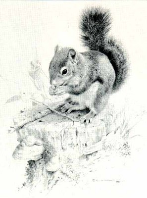 CARL BRENDERS 13X10 Secondary Market Art: "SQUIRRELS DISH"